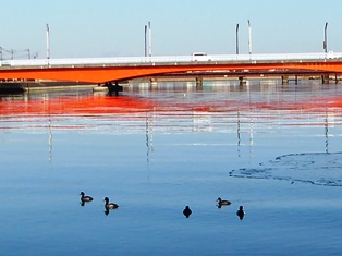 �Ɋ��̒��@���H��