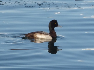 �Ɋ��̒��A��������